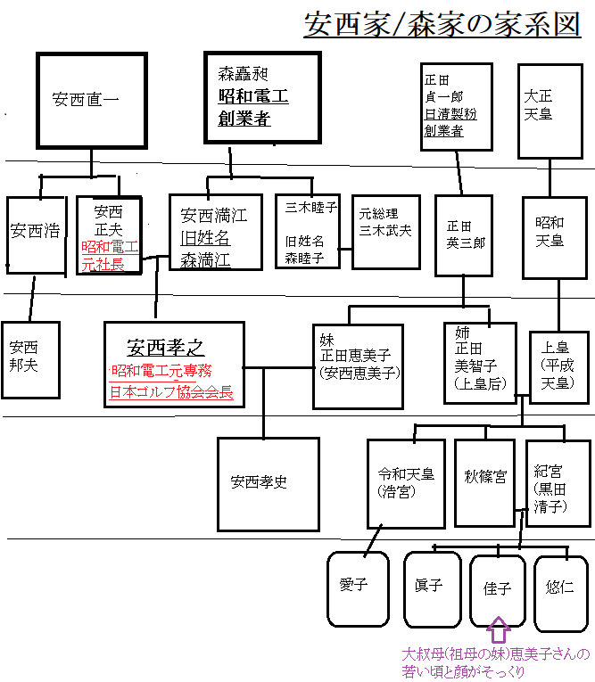 安西家/森矗昶家の家系図